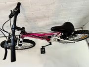 Universal Fizz 20” bike