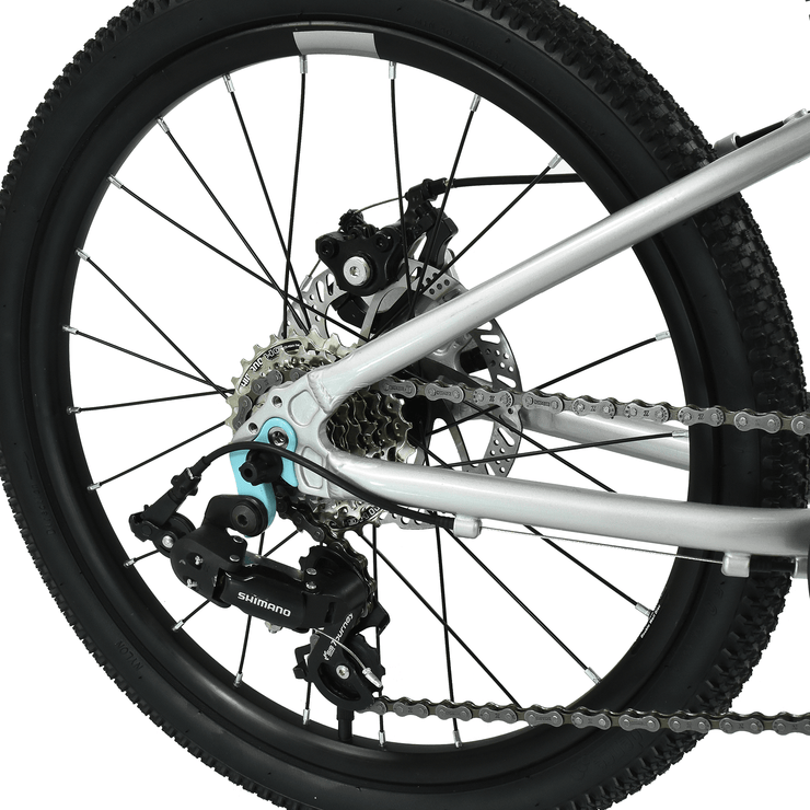 Hoy HOY Pentland 20" Kids Bike