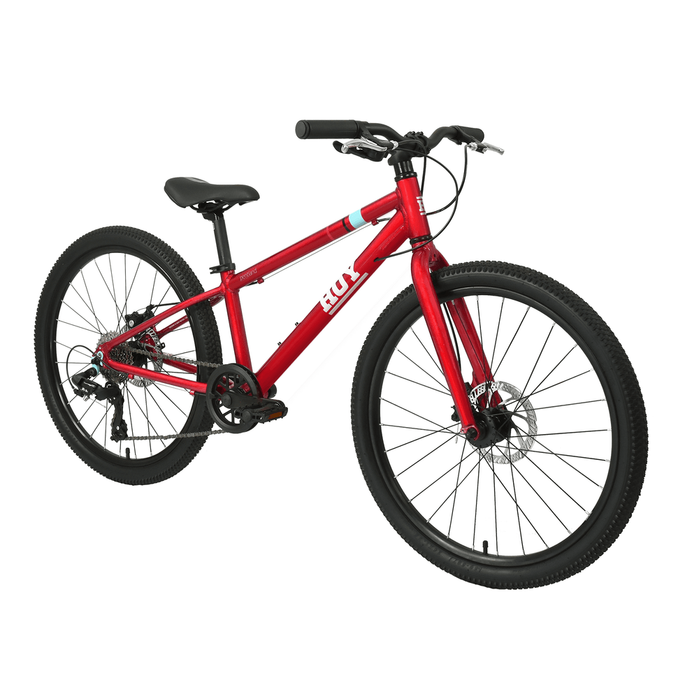 
                  
                    Hoy HOY Pentland 24" Kids Bike
                  
                