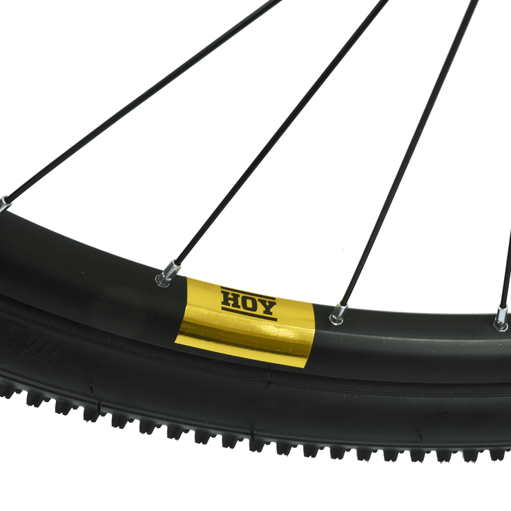 Hoy HOY Pentland 24" Kids Bike