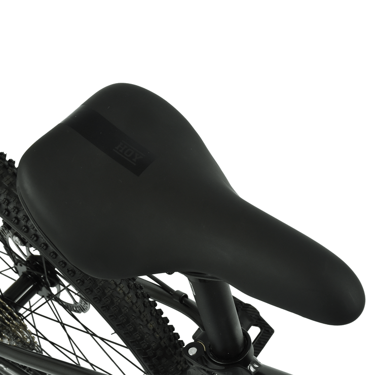 Hoy HOY Pentland 24" Kids Bike
