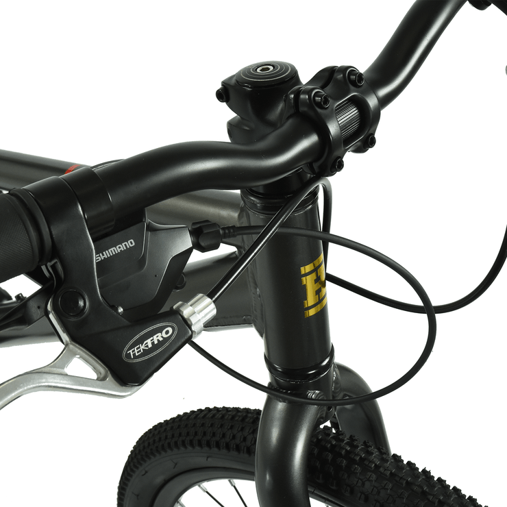 Hoy HOY Pentland 24" Kids Bike