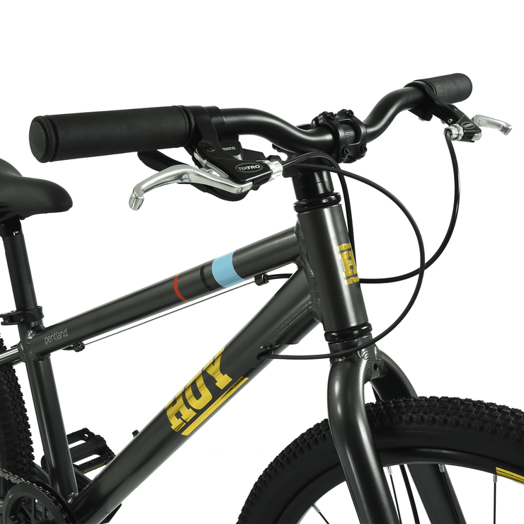 Hoy HOY Pentland 24" Kids Bike