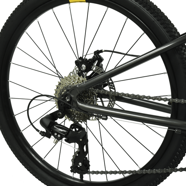Hoy HOY Pentland 24" Kids Bike
