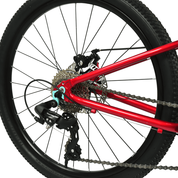 Hoy HOY Pentland 24" Kids Bike