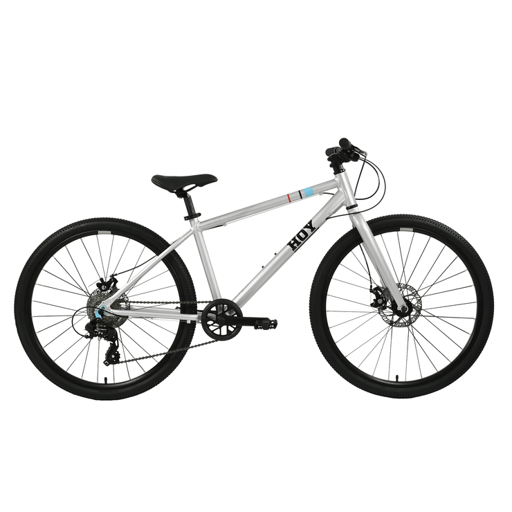 Hoy Titanium silver HOY Pentland 26" Kids Bike