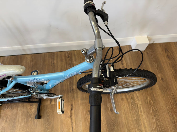 Raleigh Raleigh Dive 24”