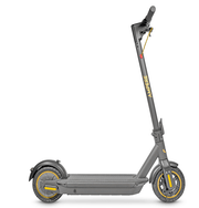 Ampere Electric scooter Grey/Gold Ampere Go Electric Scooter