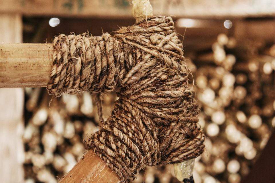 
                  
                    my Volta Gates - Icycleelectric
                  
                